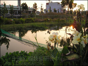 台南市仁德區二行社區人工濕地系統，每日可處理50-80CMD的社區生活污水，並且成為社區公園。(因地主收回而移除)