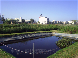 台南市仁德區二行社區人工濕地系統，每日可處理50-80CMD的社區生活污水，處理後的再生水可以用來營造生態環境與澆灌社區內的植栽。(因地主收回而移除)