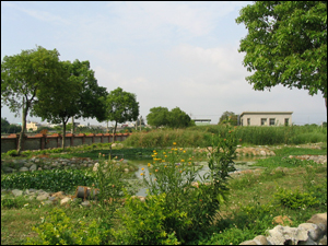 自然淨水技術生態材料實際應用案例：大林慈濟醫院污水處理廠人工濕地