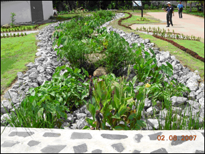 泰國Ubolratana水庫人工濕地計畫(嘉南藥理科技大學與泰國坤敬大學國際合作計畫)