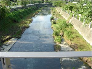 台南市竹溪在槽式人工濕地研究計畫(環保署補助研究計畫)-場址設置前