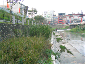 台南市竹溪在槽式人工濕地研究計畫(環保署補助研究計畫)-場址設置後