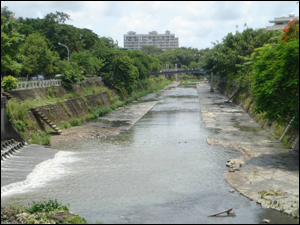 台南市竹溪在槽式人工濕地研究計畫(環保署補助研究計畫，因民眾認為會孳生蚊蠅而移除)-場址拆除後。