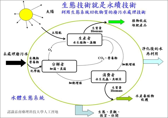 人工濕地的物質資源循環圖