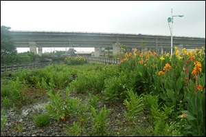 彰化縣員林市大饒社區於進行農村土地重劃時，就把留了部分的土地規劃化為公園，一部分的公園甚至規劃為社區生態自然淨水園區，處理一部分的社區污水。